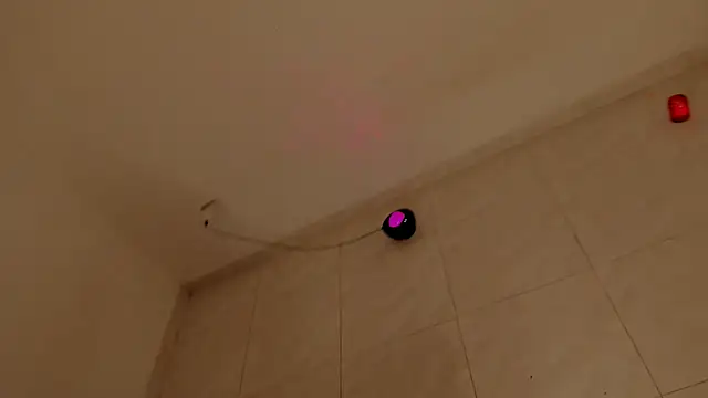 Chatroom XXX en direct de Madison_charlotte