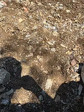 TurkeyMen Webcam-Show