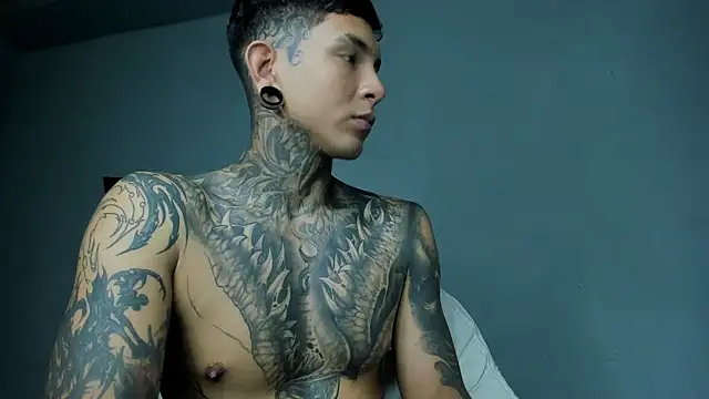 Travtanner Webcam-Show