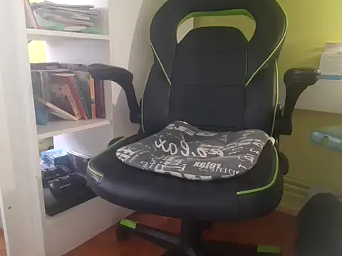 Show Webcam de feathersify