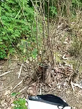 Aytc9989のライブXXXチャット