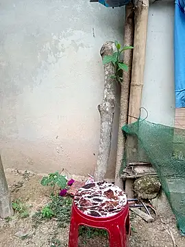 kalara_kail 即時 XXX 聊天