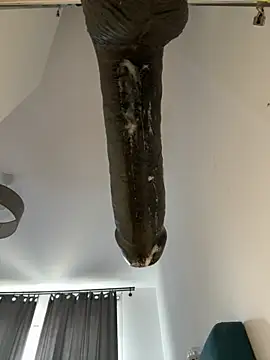 Jaropol 网络视讯表演