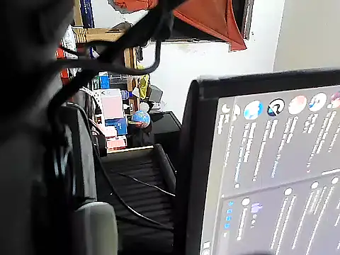 GordoChancludoSLP: διαδικτυακό σόου στην κάμερα