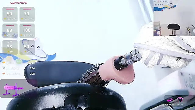 Show webcam de Mya8860