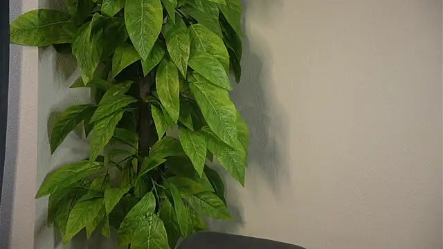 FridaZeaglerのライブXXXチャット