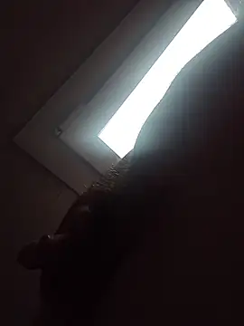 openlegsforyou 웹캠 쇼