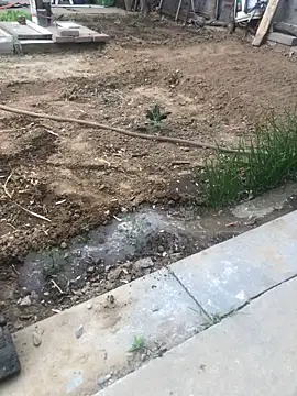 yaocaobi8 Pertunjukan Webcam