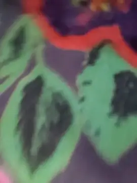 Ruhi_07 现场XXX聊天