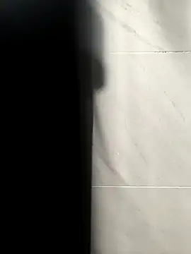 lixx520n Webbikameraesitys