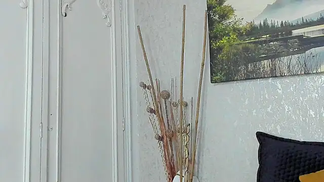 Tyler_durten webkamerás műsora