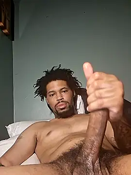 Show webcam de Painstickwes