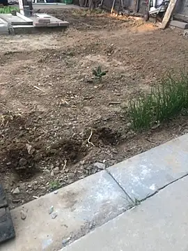 Chat XXX Live yaocaobi8