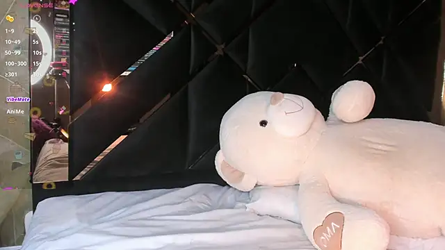 Show Webcam de KaelSoft_