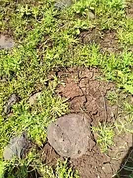 murokkk31 Chat XXX live