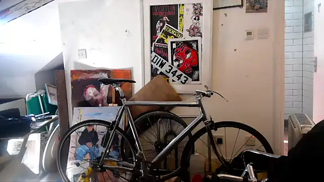 Show modela mista_sista_fista na web-kameri