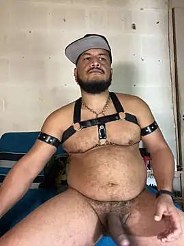 the_master_foal_ Show Webcam