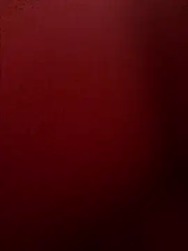 chriss13fcn Webbikameraesitys