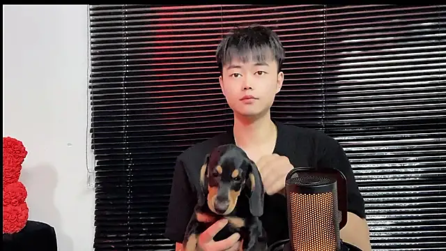 Вебкам-шоу GUCCI-BOY1314