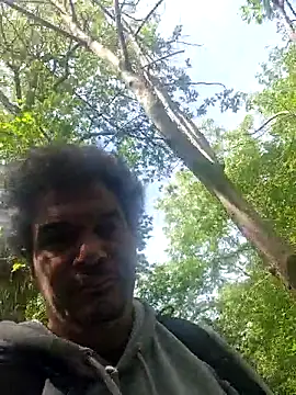 Вебкам-шоу twitshe