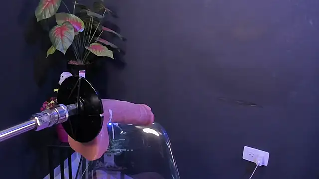 Amy_whittee élő XXX-chatje