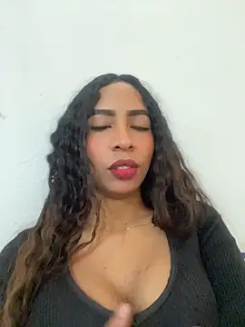 Midnightcatt 라이브 XXX 채팅