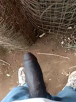 عرض كام sanju_5418