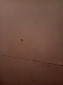 Czat XXX na żywo – Divya3107