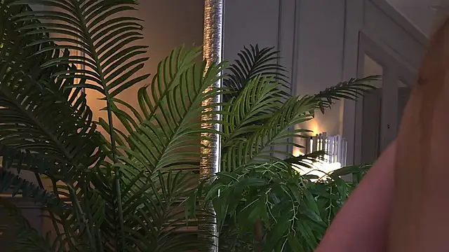 AriWild Live XXX-chat