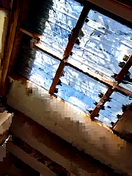 Blackforest10n Webbikameraesitys