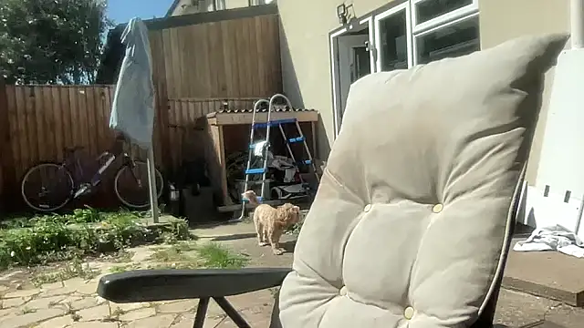 Bustyblondebabe32 webcam show