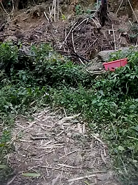 Živý XXX chat Felicity-1