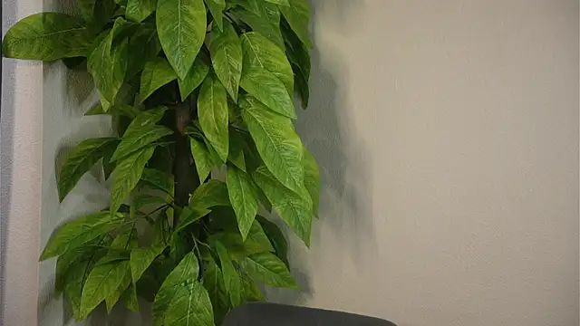 FridaZeagler's Live XXX Chat