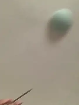 bunnythetailor 即時 XXX 聊天