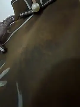 wy2026 网络视讯表演