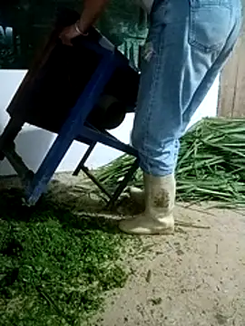 nangmo's Live XXX Chat