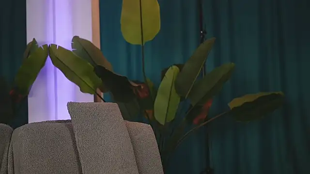 دردشة Assmerising الجنسية المباشرة