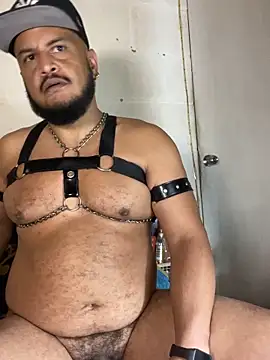 the_master_foal_ Adlı Modelin Web Kamerası Şovu