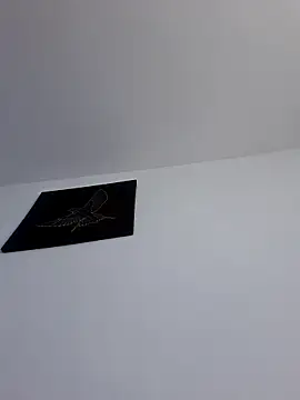 Онлайн чат XXX ArianaAngel03