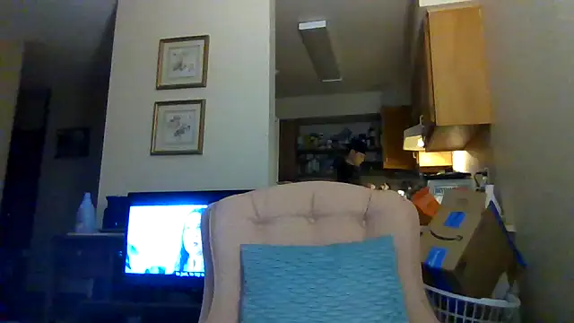 Show Webcam de kollzCloudzz