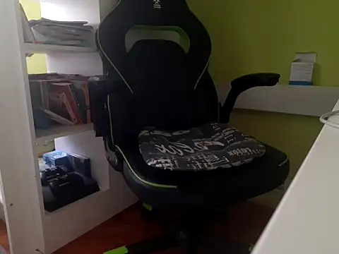 Show Webcam de feathersify