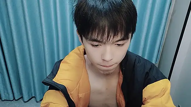 w5206t 网络视讯表演