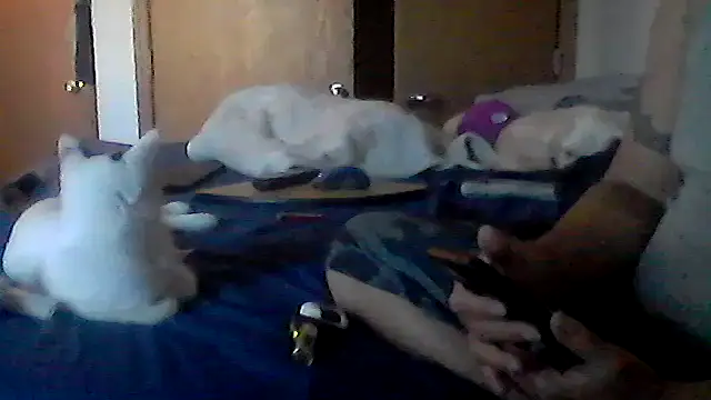 Silencio26 Webcam show