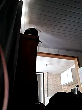 Robsonitj90n Webbikameraesitys