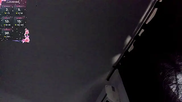 Foxxy_maverick: διαδικτυακό σόου στην κάμερα