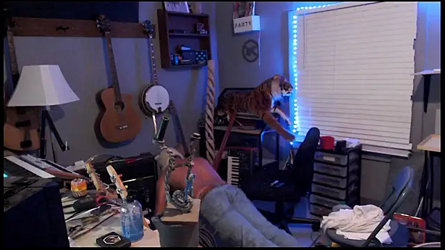 Webkamerová show itsjameswebbscope