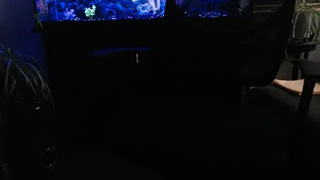 EspanolVato: вебкам-шоу