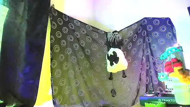 Guyst049 Webcam-Show