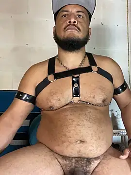 Pokazy przed kamerką – the_master_foal_