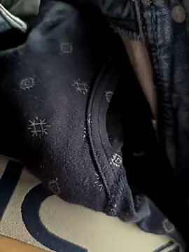 rajdehli Pertunjukan Webcam